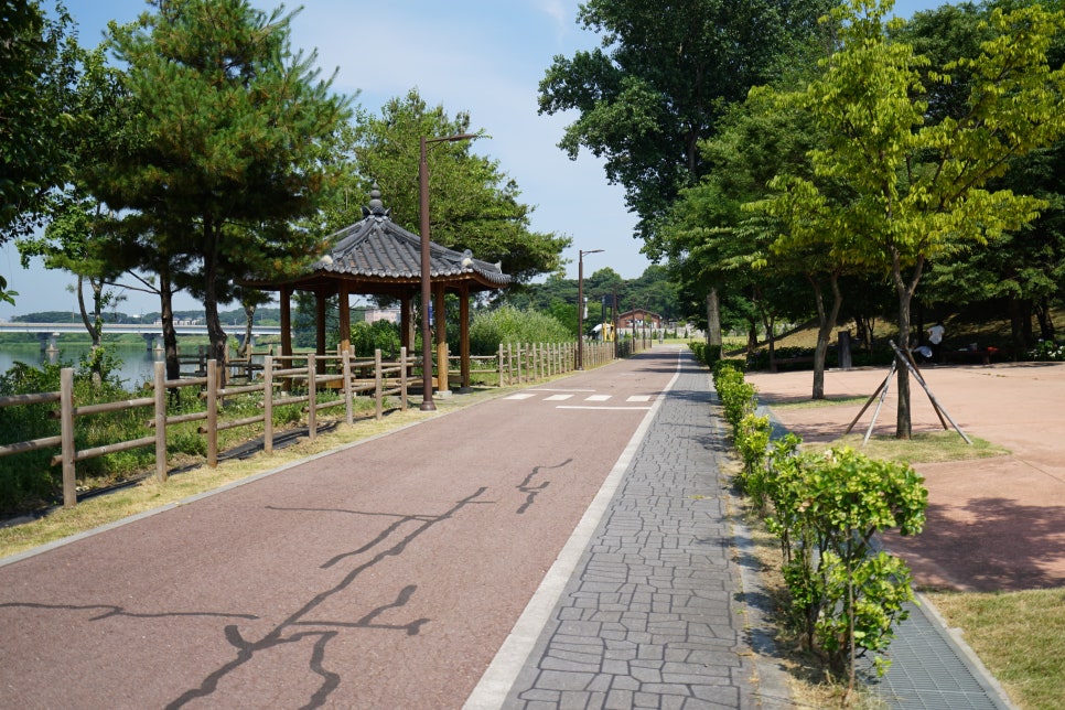 평택 내리문화공원 수국 근황! 평택 수국 여기서 보세요~ 산책하기에도 좋은곳!