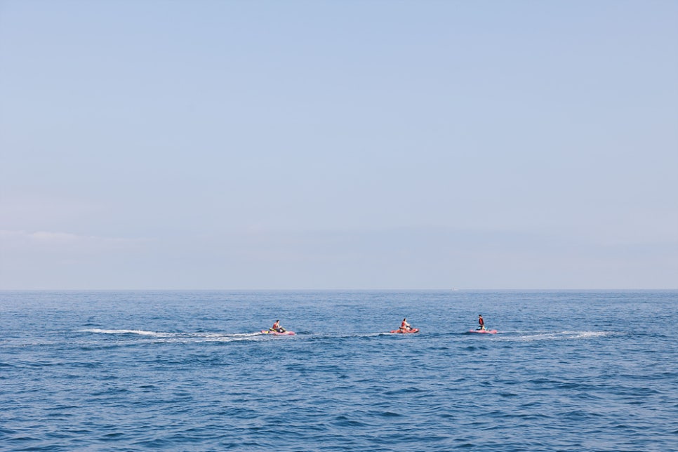 6월 제주도 가볼만한곳 제주도 수국명소 제주 마노르블랑 관광지