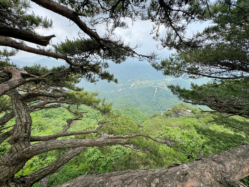 [299] 진안 덕태산, 가파른 경사의 끝판왕