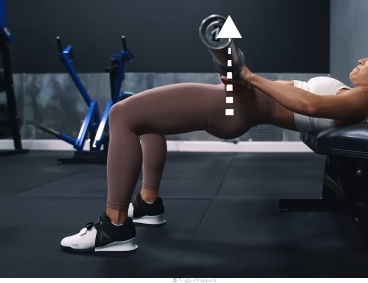 힙쓰러스트 여자 남자 하체 엉덩이 근육 강화 운동
