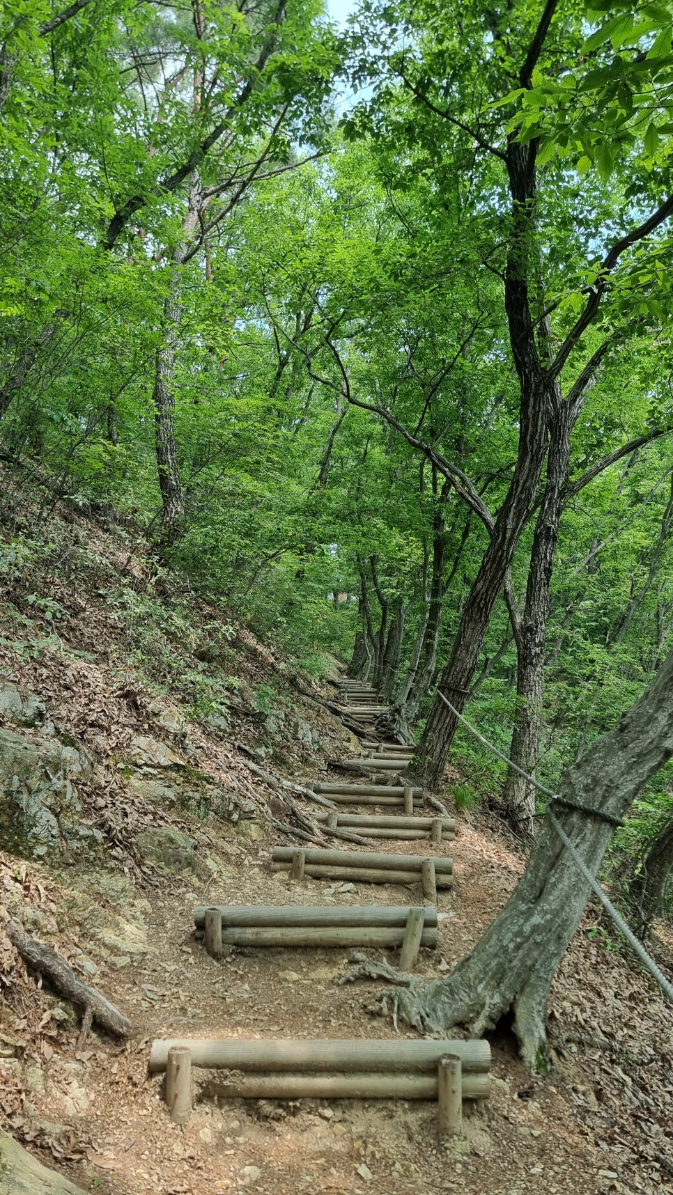 포항 운제산 등산, 오어사 원점회귀 환종주 산행