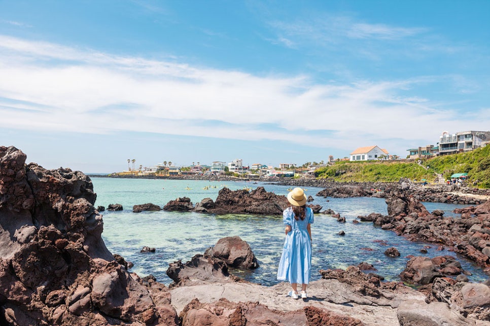 6월 제주도 가볼만한곳 제주도 수국명소 제주 마노르블랑 관광지