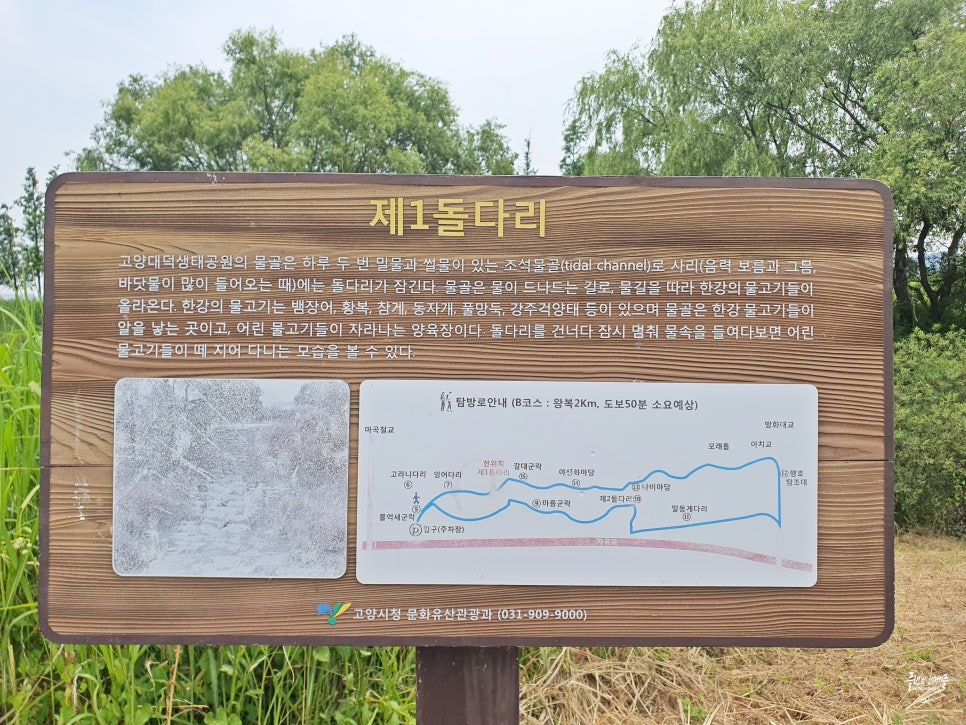 서울근교 나들이 경기도 고양 놀거리 가볼만한곳 고양대덕생태공원 방화대교