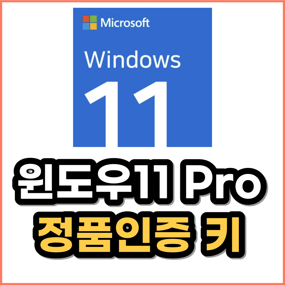 프리도스 노트북 윈도우 11 프로 설치 SCDKEY 정품인증