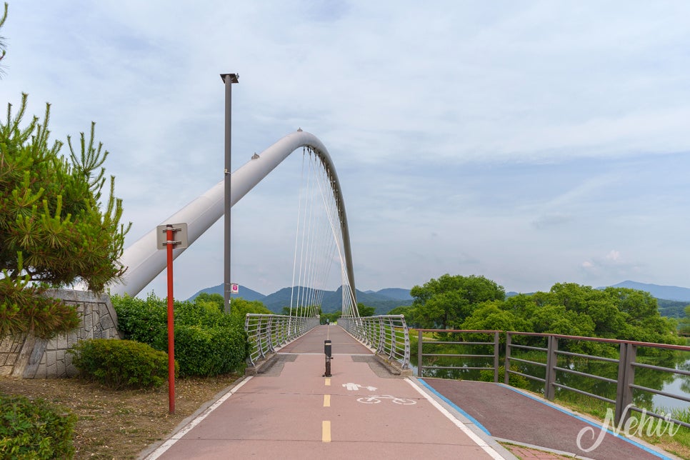 남양주 갈만한곳 물의정원 양귀비 남양주 볼거리 피크닉장소