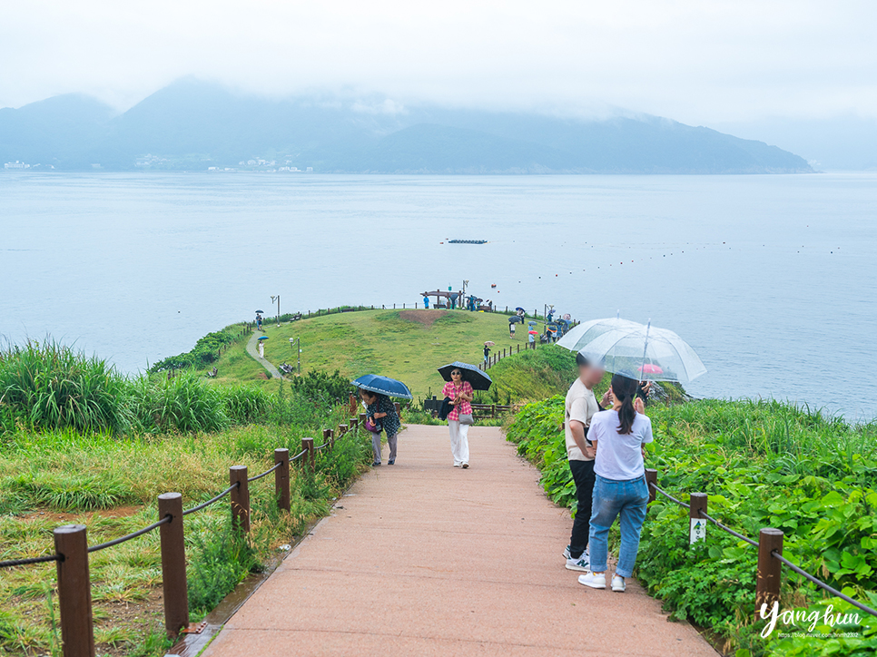 거제도 여행 코스 1박2일 거제 볼거리 놀거리