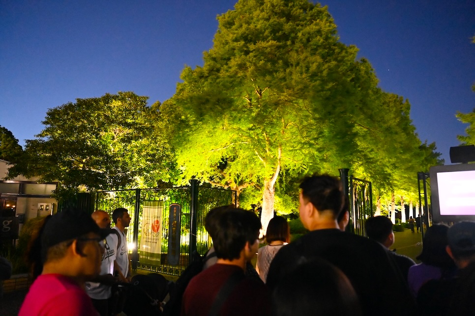 오사카 팀랩 보태니컬 가든 입장권 할인 가는방법 일본 오사카 여행