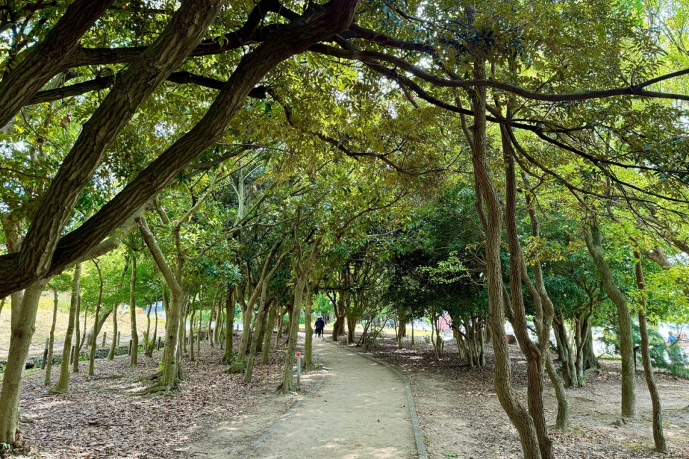 일본 후쿠오카 여행 코스 후쿠오카타워 오호리공원 텐진 캐널시티