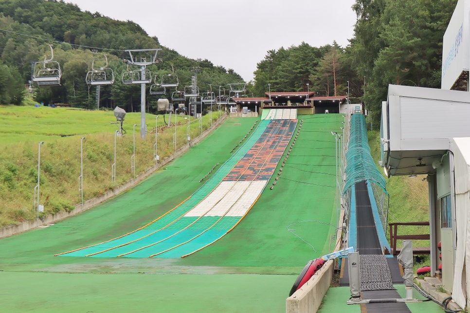 용평리조트 숙소 후기 마운틴코스터 루지 발왕산 케이블카 평창 가볼만한곳 추천