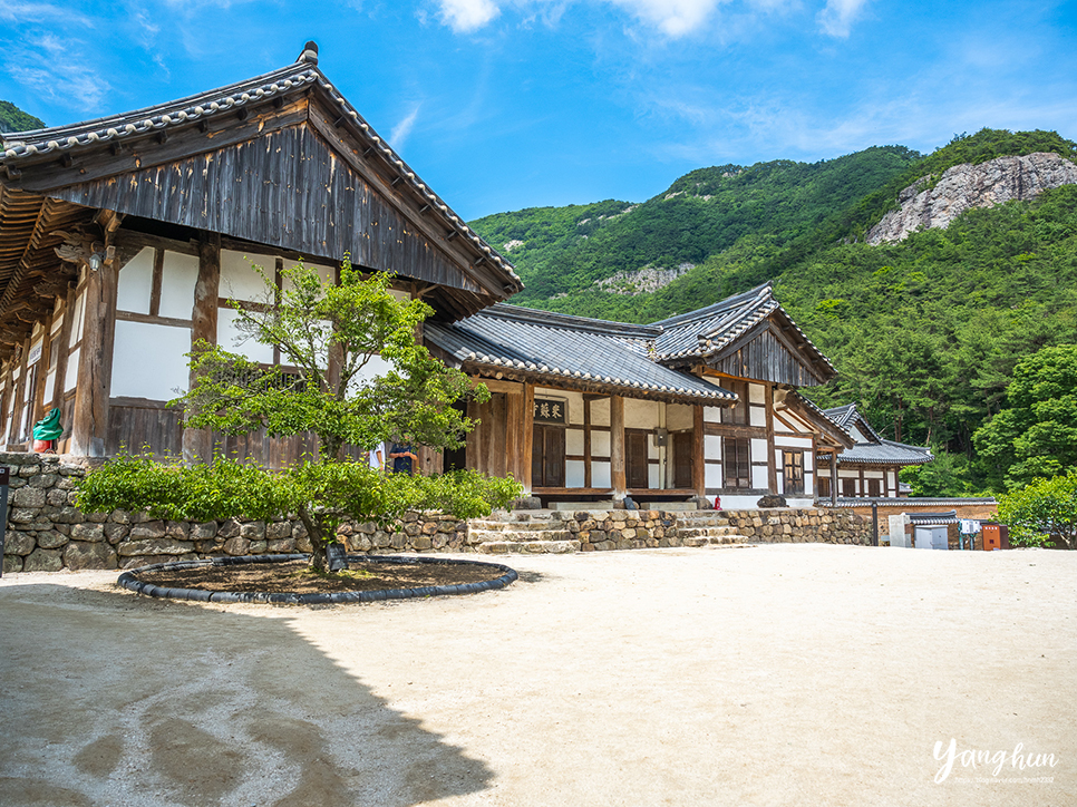 전북 여행지 추천 부안 여행 변산반도 부안 내소사