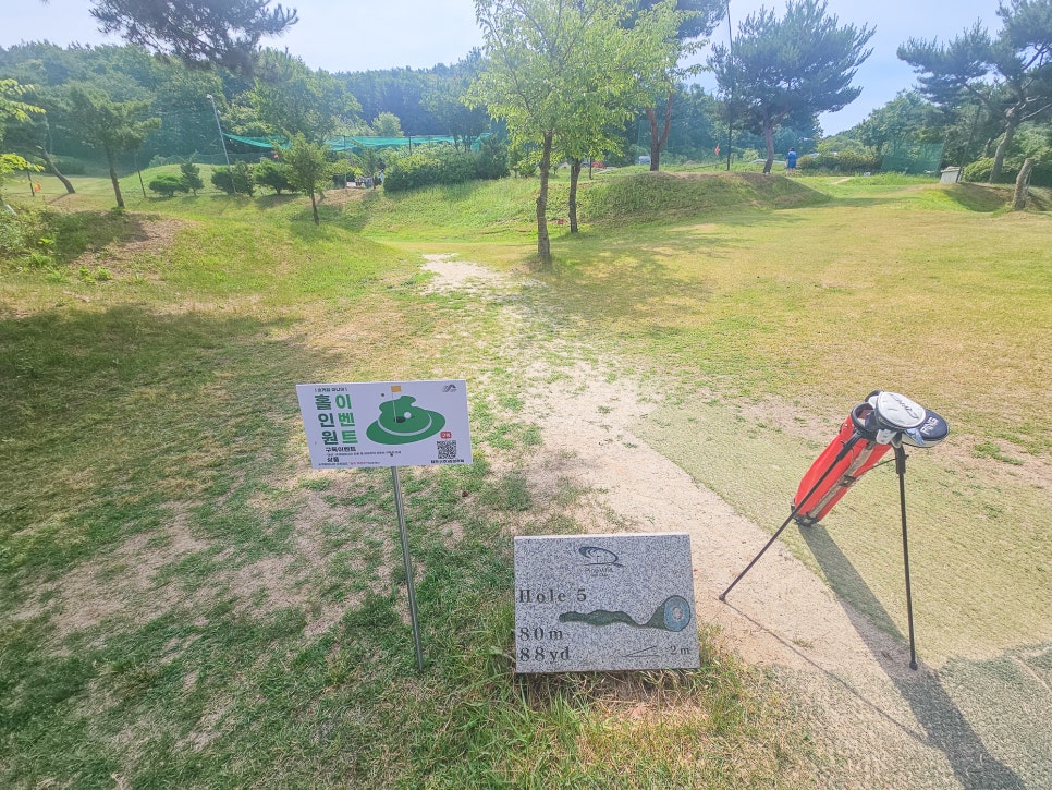 서울 근교 경기도 파3 골프장 파인빌 골프클럽 어프로치 연습장