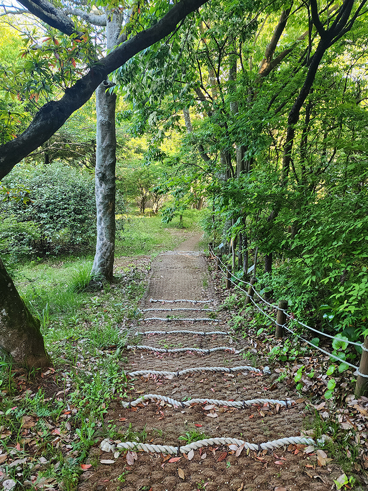 제주도 수목원 걷기 좋은 길 제주 한라수목원