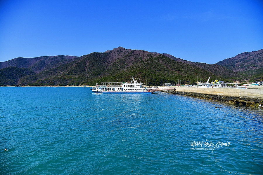 경남 거제 가볼만한곳 거제 수국 명소 신선대 근포마을 썬트리팜 저구항수국 숲소리공원