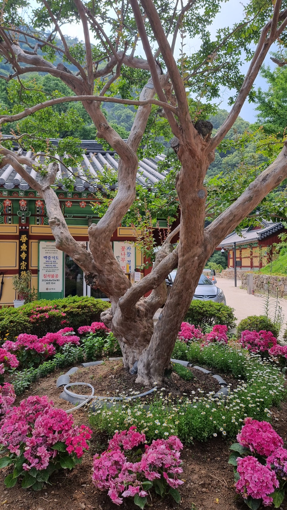 포항 운제산 등산, 오어사 원점회귀 환종주 산행