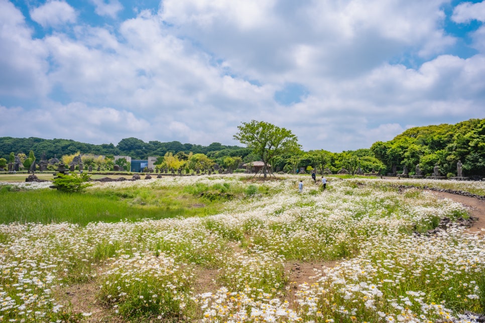 제주도여행 가볼만한 곳 <제주돌문화공원 하늘연못 포토존> 요즘 핫플레이스