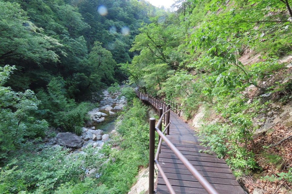 [설악산국립공원] 장수대에서 올라 대승폭포와 대승령, 십이선녀탕계곡을 거쳐 남교리로 하산하는 코스 탐방