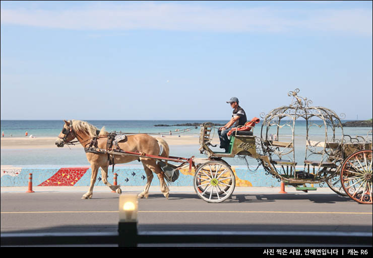 제주 함덕 흑돼지 제주 함덕 가볼만한곳 그때그집