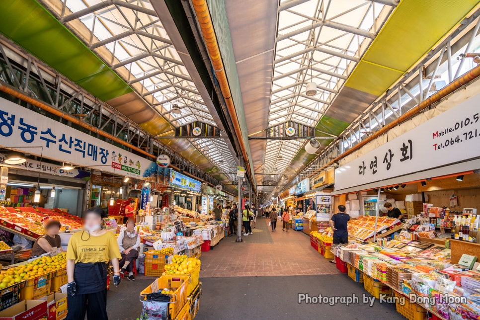 제주공항 근처 가볼만한곳 제주도 시장 제주 동문시장 야시장 먹거리