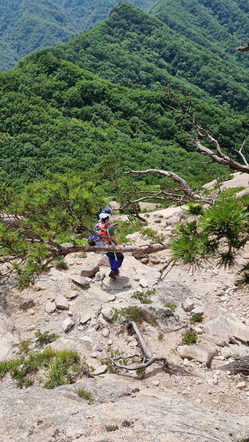 설악산 등산, 울산바위 나드리길  (중봉전망대 ~ 서봉) 릿지 산행