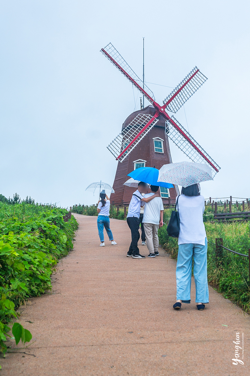 거제도 여행 코스 1박2일 거제 볼거리 놀거리