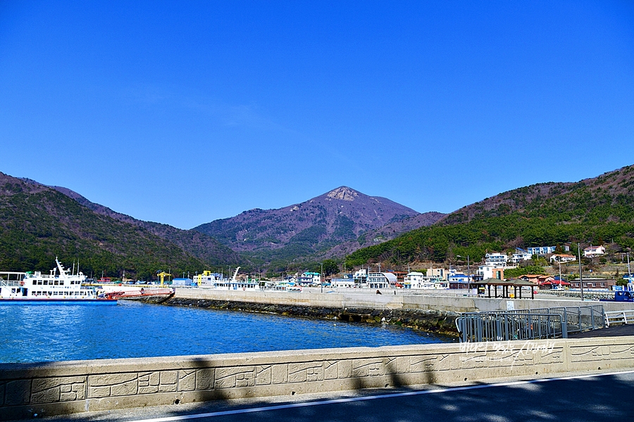 경남 거제 가볼만한곳 거제 수국 명소 신선대 근포마을 썬트리팜 저구항수국 숲소리공원