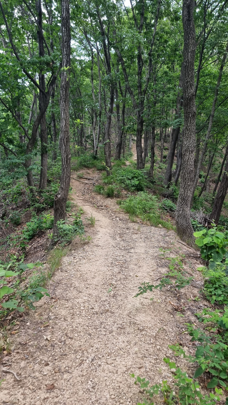 포항 운제산 등산, 오어사 원점회귀 환종주 산행