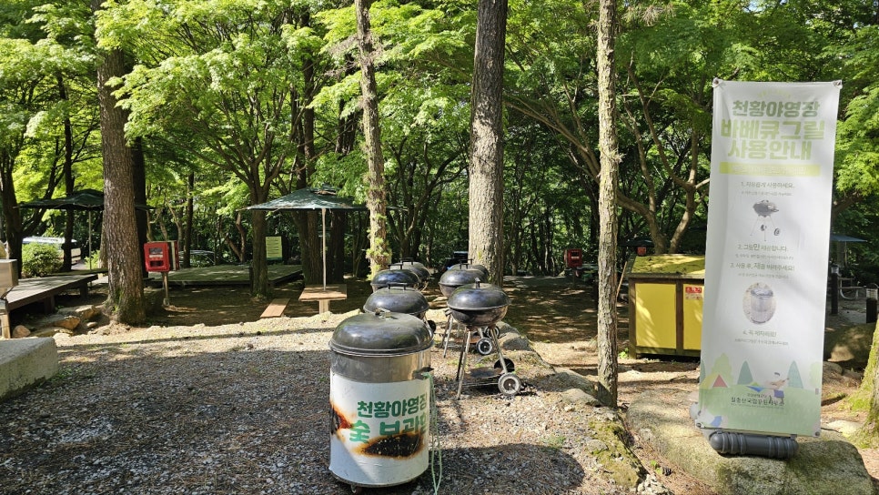 [월출산국립공원] 탐방코스 및 천황 야영장