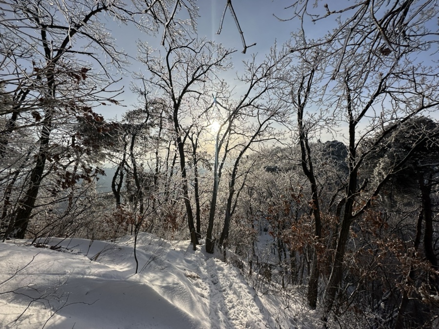 충주 계명산 최단코스 마즈막재 삼거리 원점회귀코스