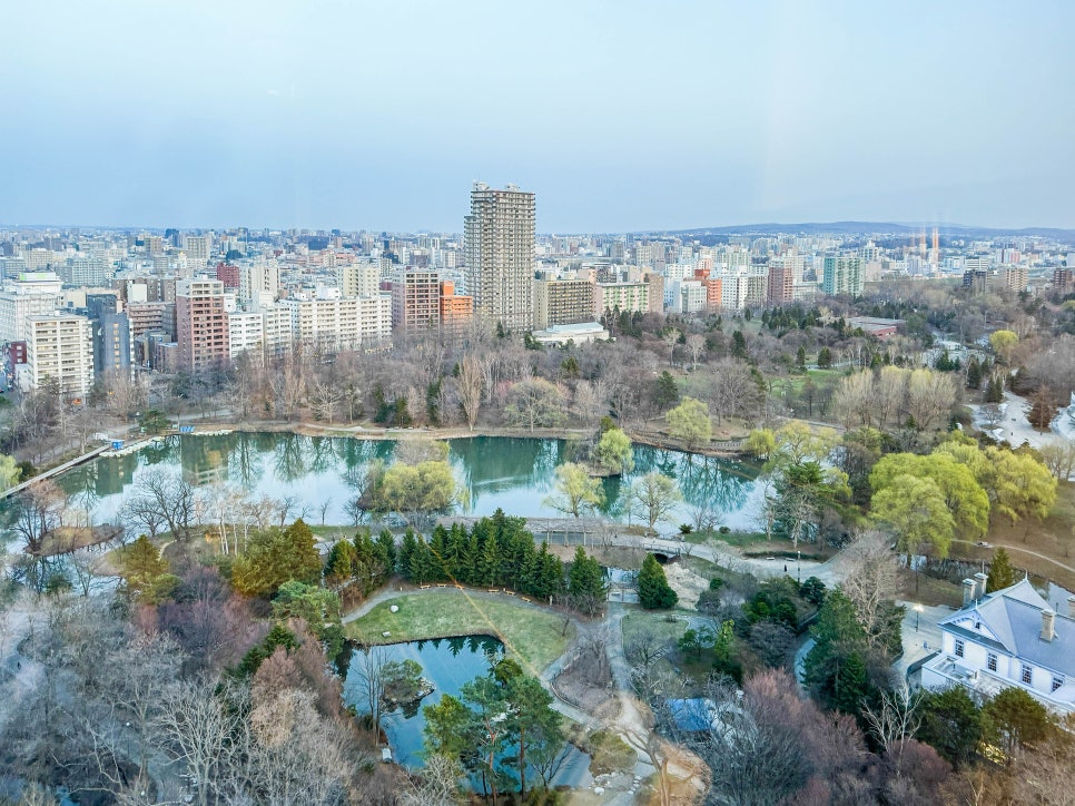 삿포로 자유여행 숙소 삿포로 쇼핑리스트 공항 세이코마트 돈키호테