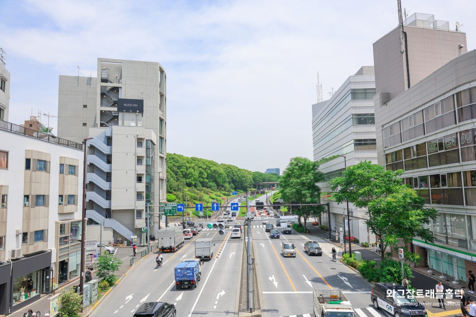 도쿄 여행코스 추천 현지인 핫플 오쿠시부야 요요기하치만 후글렌 카멜백 카페투어