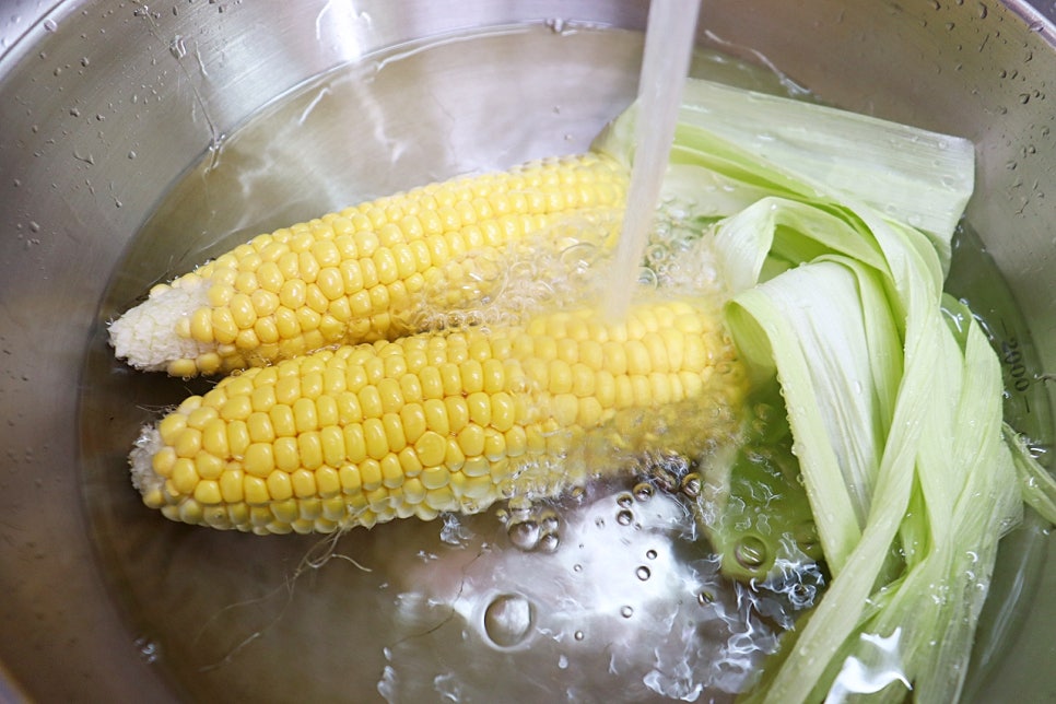 제철 초당옥수수 전자레인지 찌는법 찌기 초당옥수수 먹는법 보관 칼로리 요리