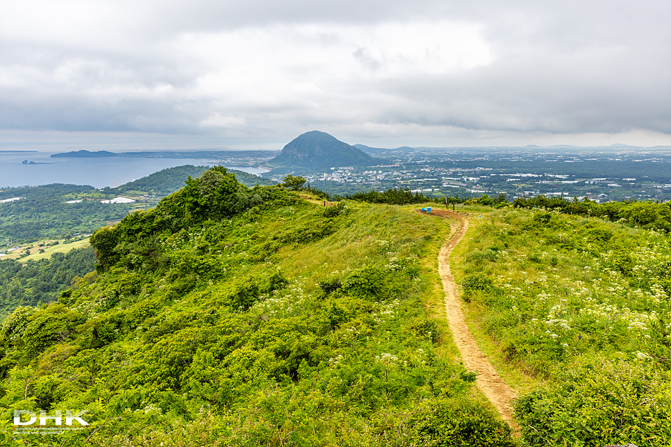 제주도 서쪽 산방산 근처 가볼만한곳 차로 올라가는 제주 군산오름 주차장 소요시간 일몰