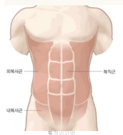 헬스장 복근운동 크런치 운동 루틴 전신 복부 근육 하복근 윗배빼는법