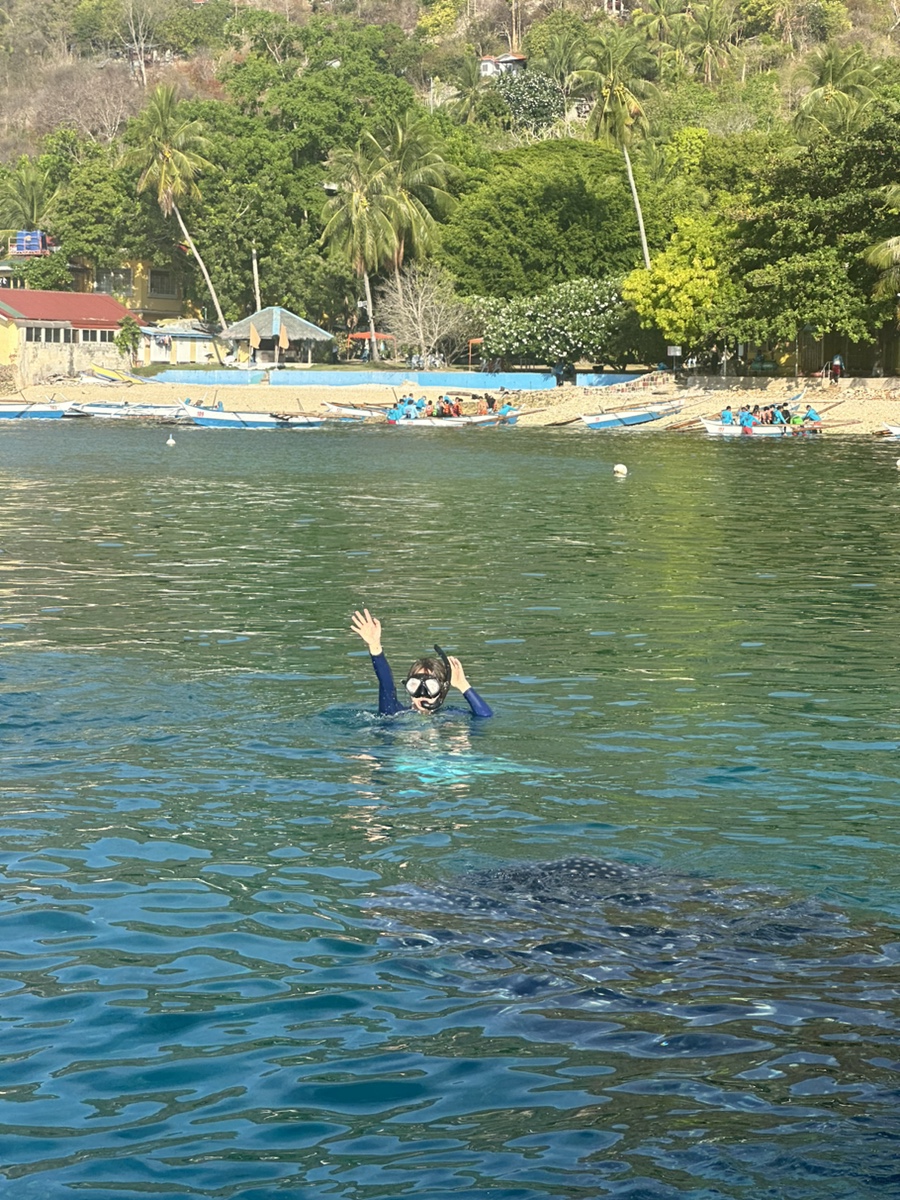 필리핀 세부 오슬롭 투어 고래상어, 모알보알, 만타유판 폭포, 여행 준비물