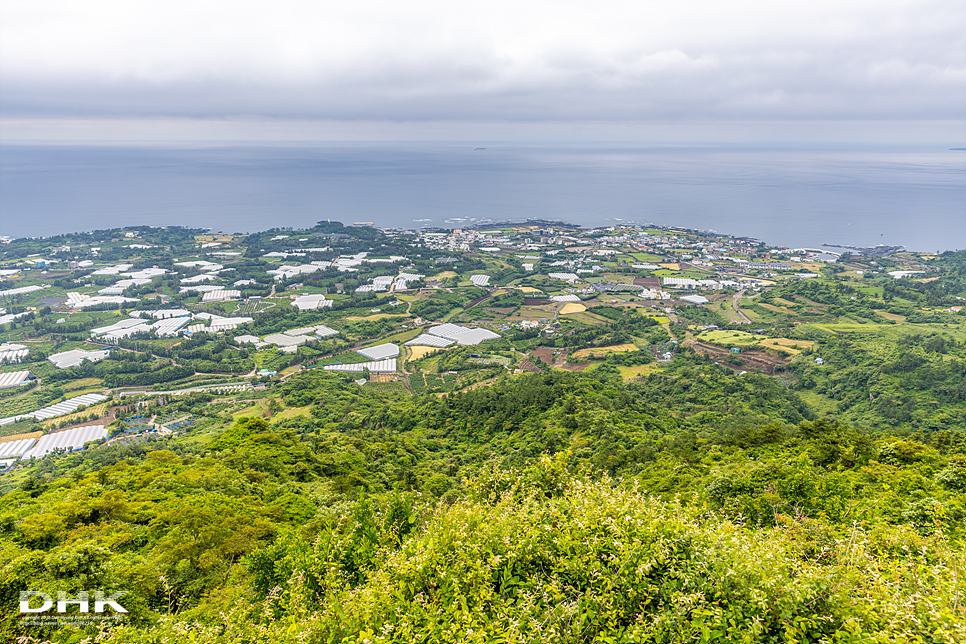 제주도 서쪽 산방산 근처 가볼만한곳 차로 올라가는 제주 군산오름 주차장 소요시간 일몰