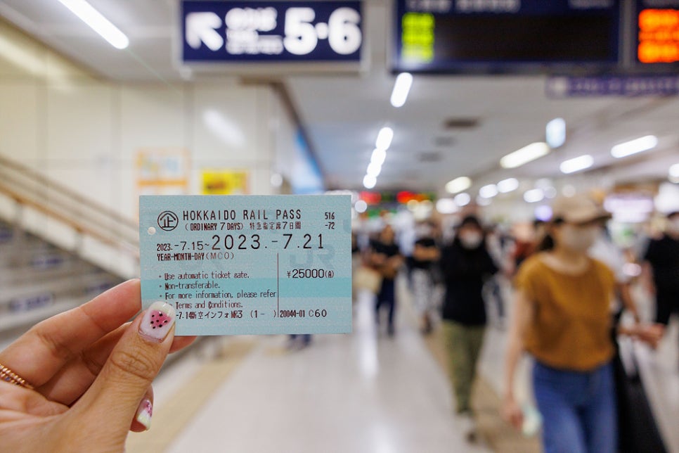 일본 홋카이도 삿포로여행 3박4일 일정 코스 여름 7월 8월 날씨 비에이 후라노 오타루