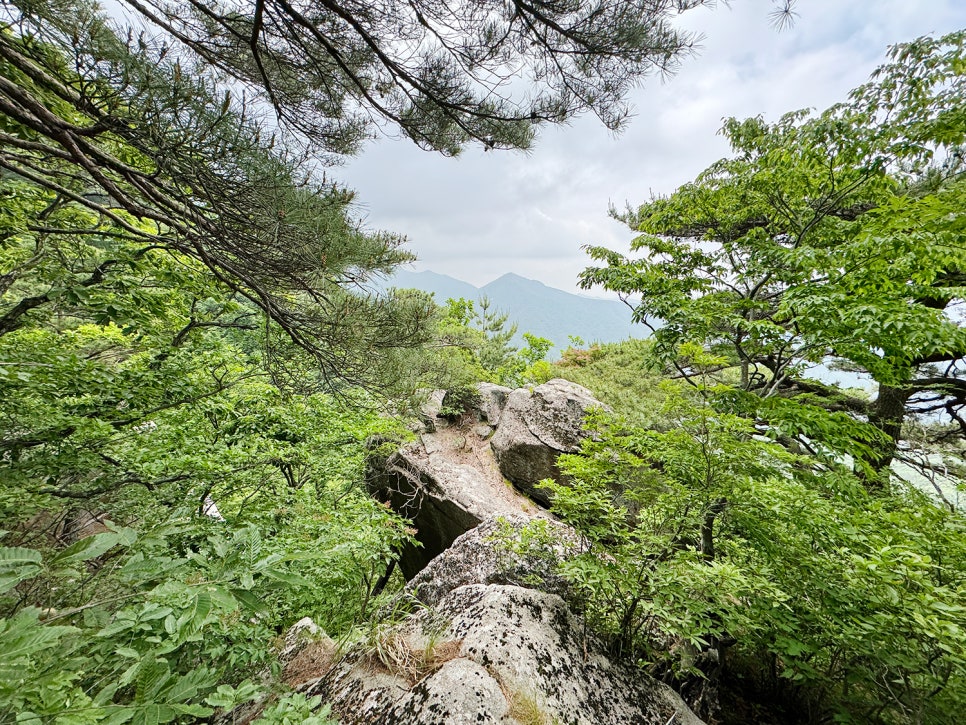 [299] 진안 덕태산, 가파른 경사의 끝판왕