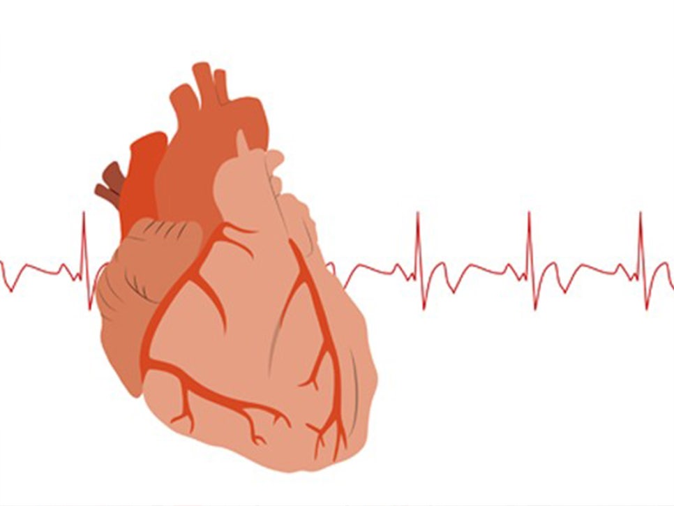 부정맥 증상 및 정상 심장 박동수 맥박 범위 수치(심장 두근거림, 빈맥, 서맥)