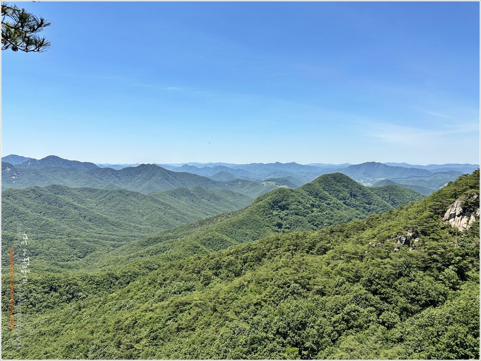 사랑산 37 of 괴산46산 / 사랑스럽네 사랑산