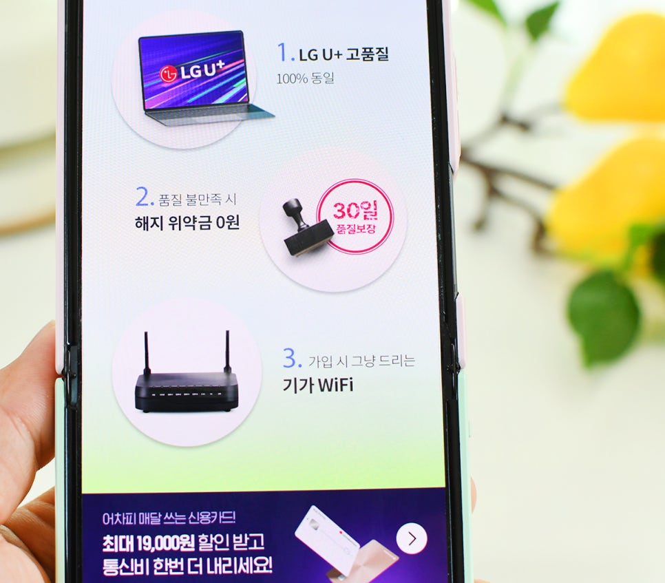 LG헬로비전 무약정 Wi-Fi 전용 인터넷 요금제 자취생 추천!