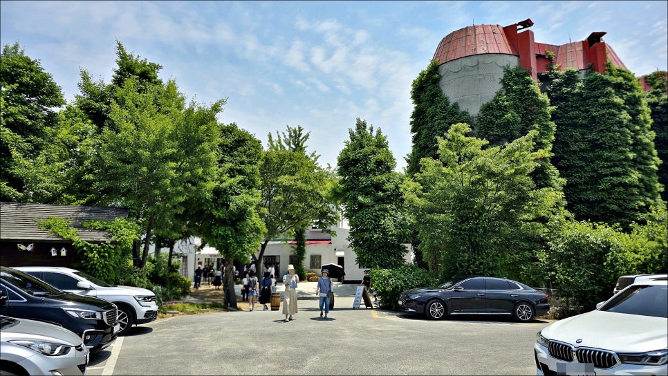 충남 가볼만한곳 당진 아그로랜드 태신목장 수레국화 당진 여행 코스 추천!