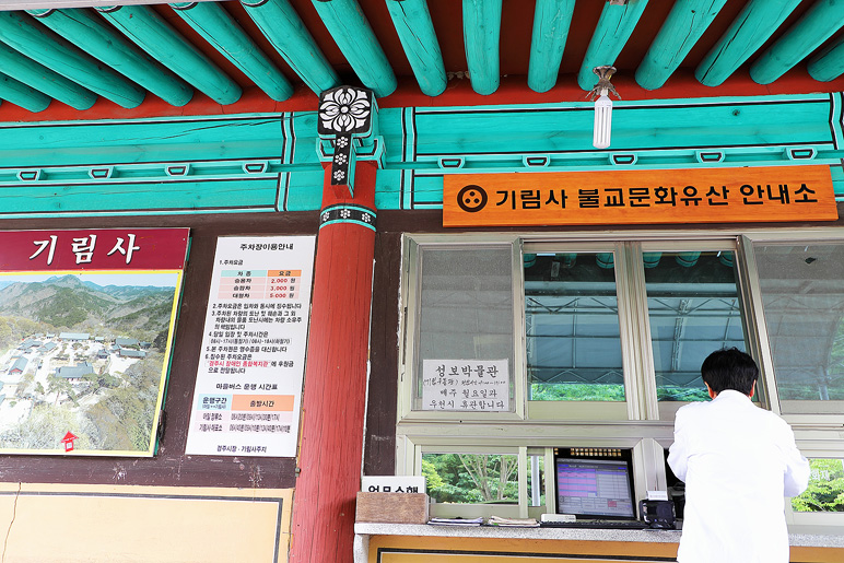 경주 기림사 수국 개화상황 6/6 6월 경주 가볼만한곳