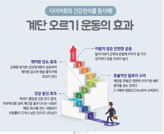 계단 오르기 효과 칼로리 아파트 계단운동 운동방법 운동기구