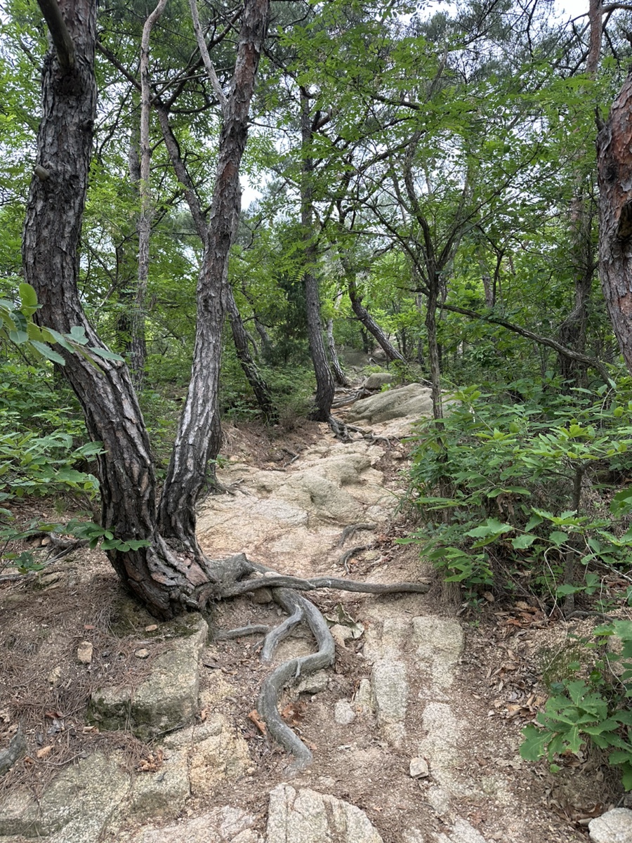 북한산 응봉능선코스 진관사 사모바위 비봉 원점회귀