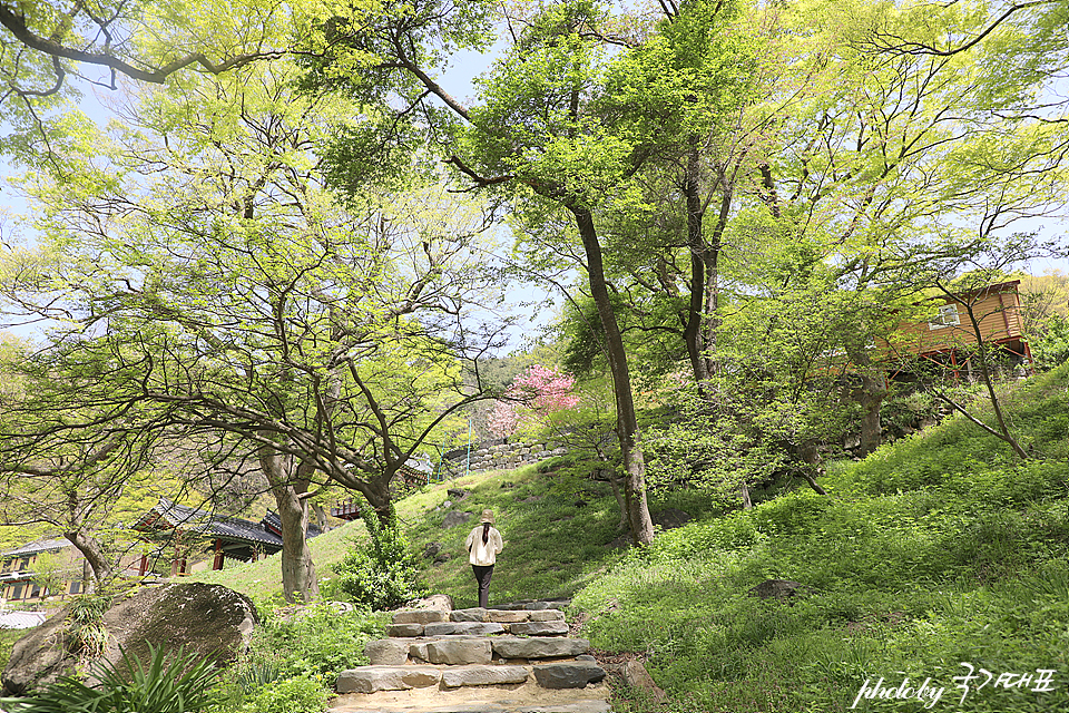 충남 서산 가볼만한곳 부석사 서산 명소