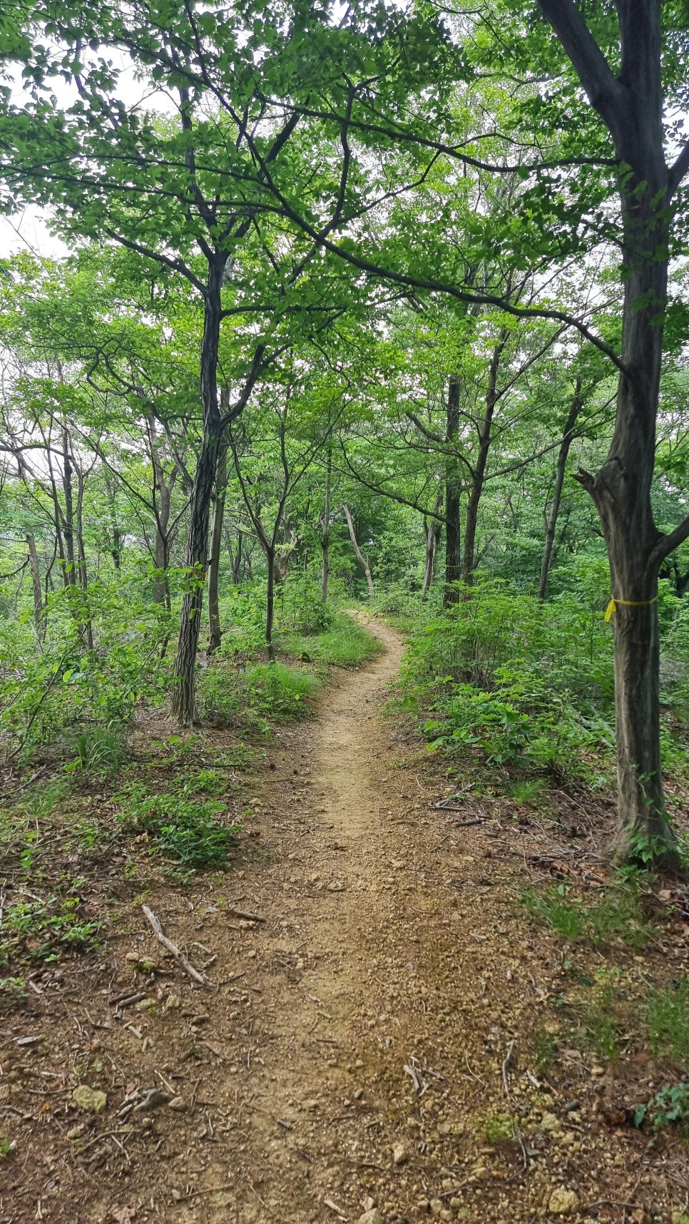 포항 운제산 등산, 오어사 원점회귀 환종주 산행