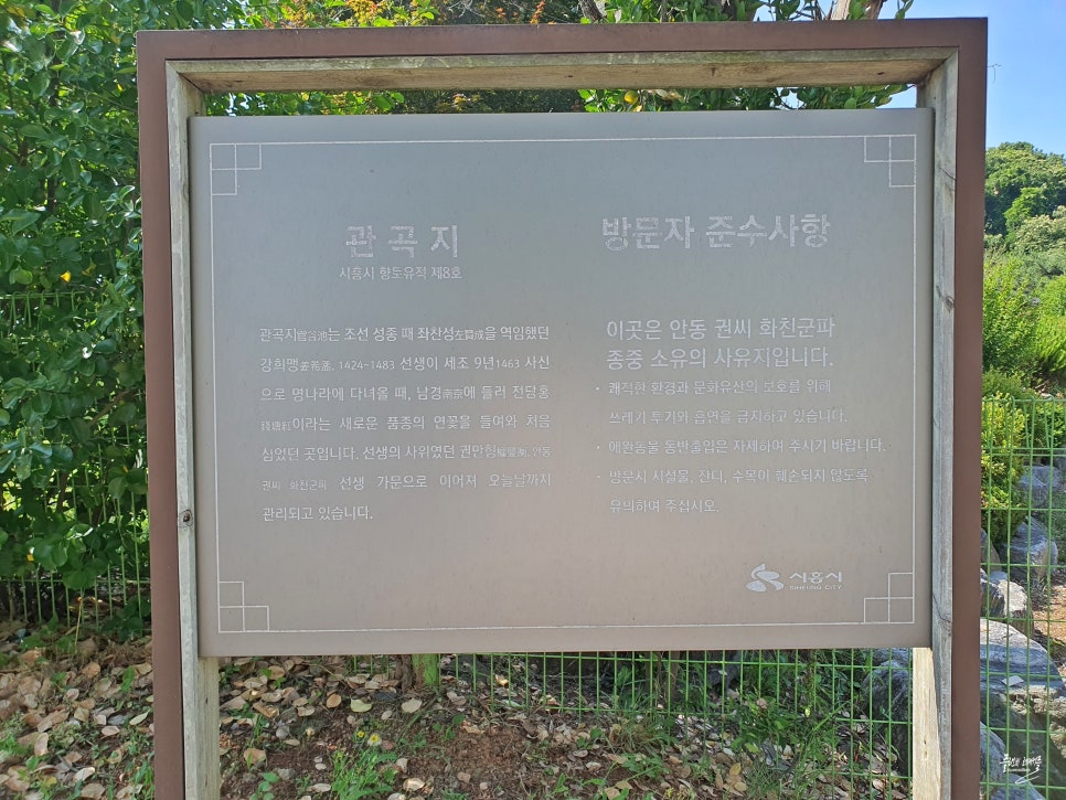 경기도 시흥 가볼만한곳 시흥 여행 관곡지 연꽃테마파크