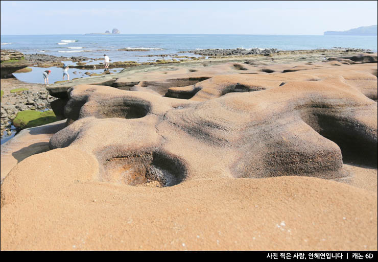 6월 제주도 가볼만한곳 제주도 수국 명소 포함 제주 볼거리