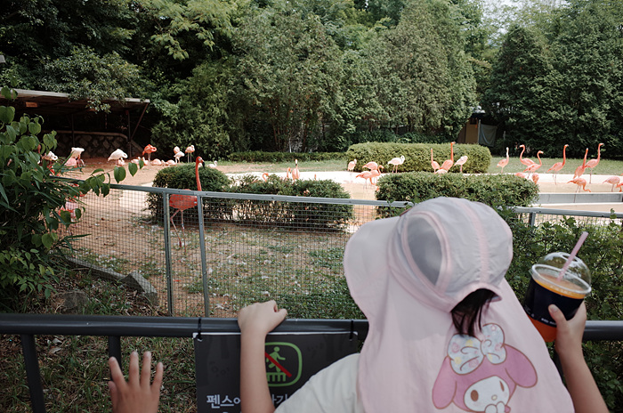 크기도 어마어마, 사람도 어마어마한 동물원, 서울대공원