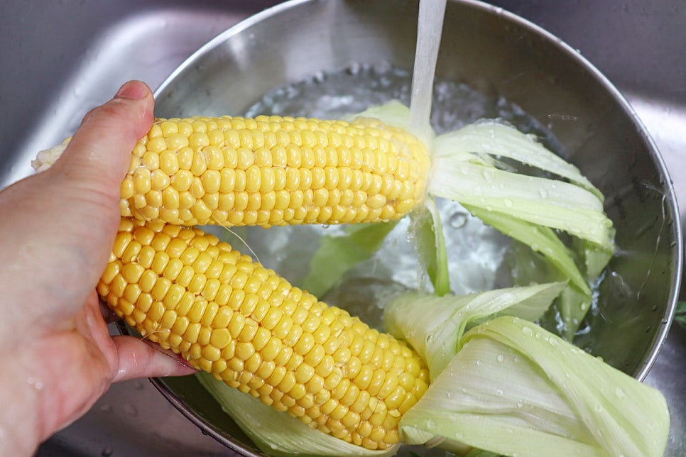 제철 초당옥수수 전자레인지 찌는법 찌기 초당옥수수 먹는법 보관 칼로리 요리